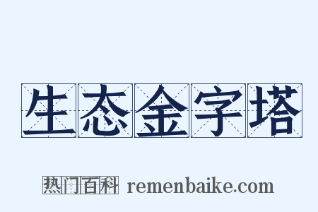 生态金字塔是什么意思的图片
